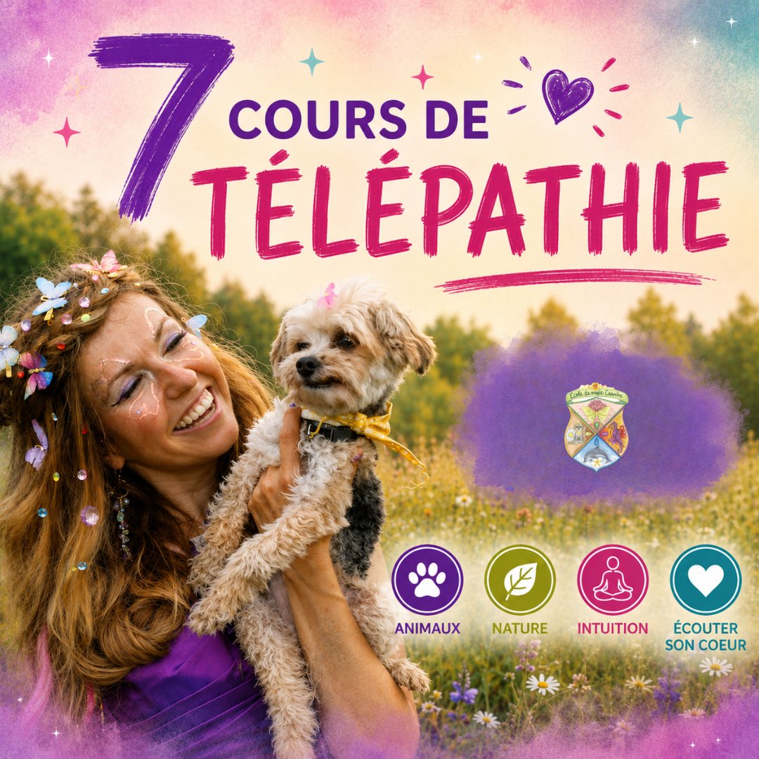 Développer sa télépathie et son intuition — Forfait 7 cours